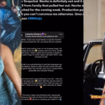 "Was It Really Family Or Did BBNaija Production Pull Neche Out?" — Fan Alleges Possible Reasons photo output 110