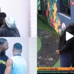 “Yusuf’s Anger Is Bad Oh” — Reactions As Yusuf And Sultex Fight Over Bells (VIDEO) photo output 127